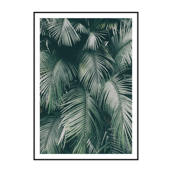 Плакат Зелени палмови листа, 40 x 30 cm - Imagioo