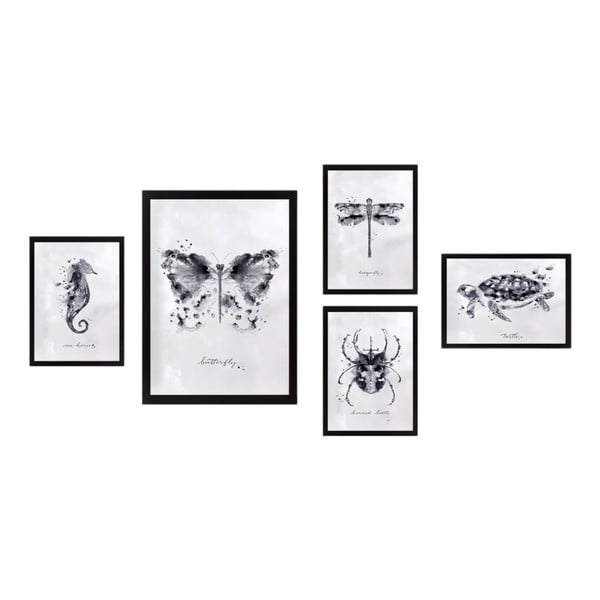 Картини в комплект от 5 бр. Butterfly - Wallity