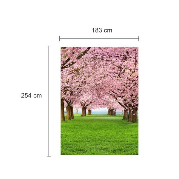 Velkoformátová tapeta Cherry Trees-image-2
