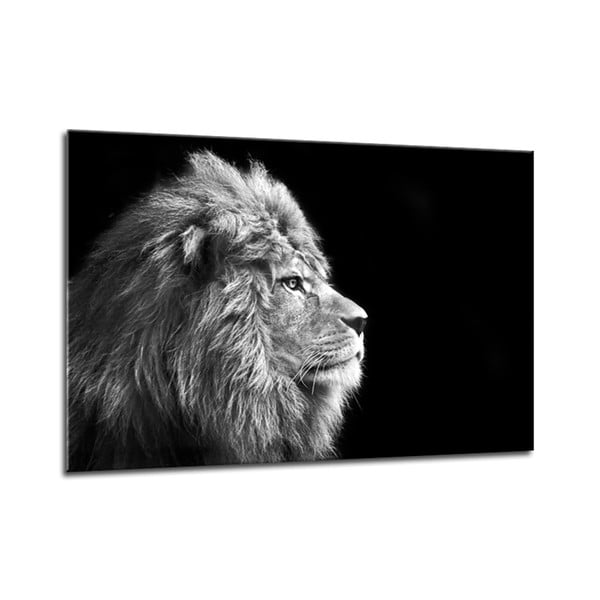 Glasspik Платно Животни Лъв, 70 x 100 cm - Styler