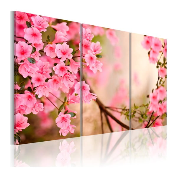 Obraz na plátně Bimago Cherry Flower, 120 x 80 cm