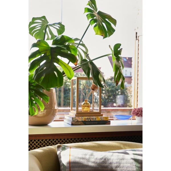 Керамични покрития за кашпи в комплект от 2 бр. ø 31 cm Vibe – Hübsch-image-4