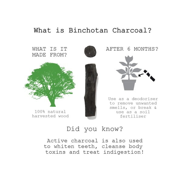 Пръчка Binchotan , 1 бр. Eau Good - Black + Blum-image-1