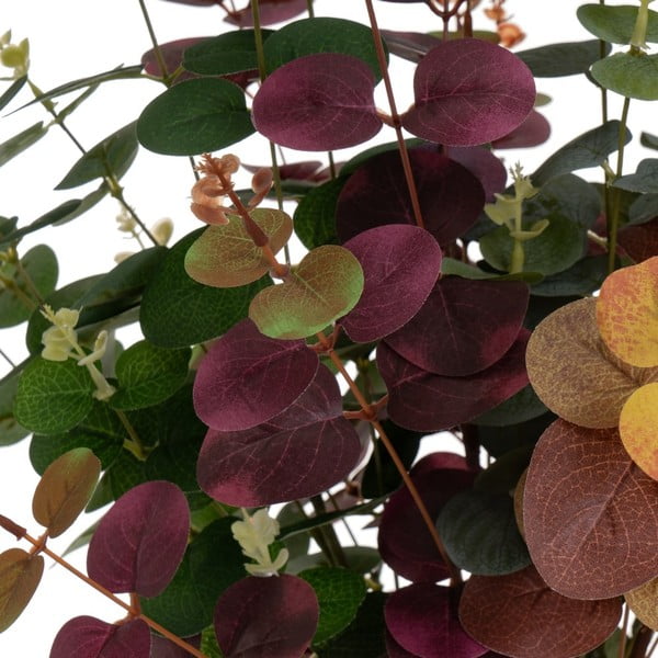 Изкуствен евкалипт 4 бр. (височина 85 cm) – Casa Selección-image-4