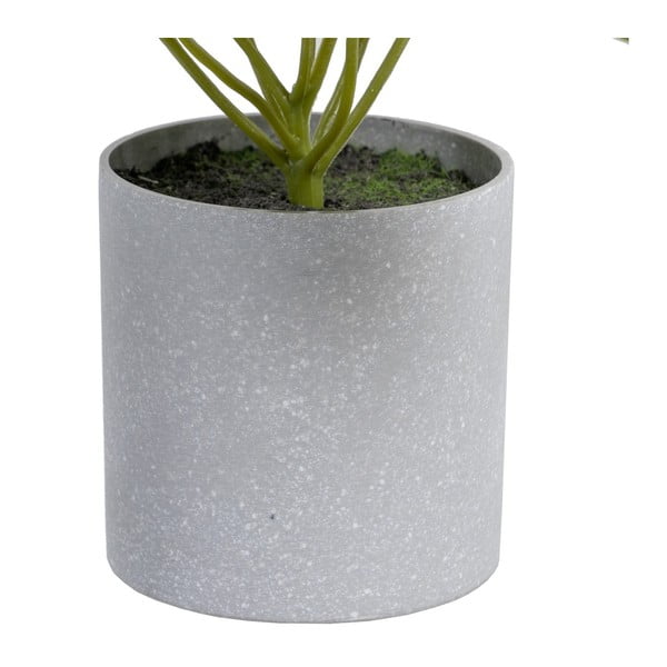 Изкуствено растение (височина 21 cm) Syngonium – Ixia-image-1