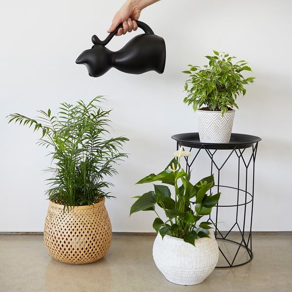 Пластмасов съд за поливане 2 л Meow - Balvi-image-2