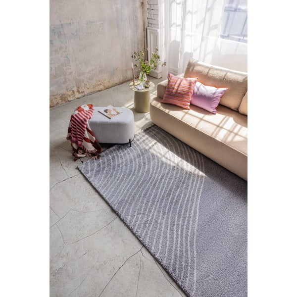 Сив килим 160x230 cm Coastalina – Bonami Selection-image-1