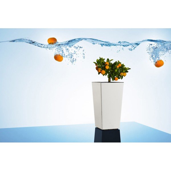 Пластмасова саксия за цветя Elise – Gardenico-image-4