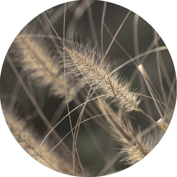 Картина ø 40 cm Mellow Grasses 2 – Malerifabrikken