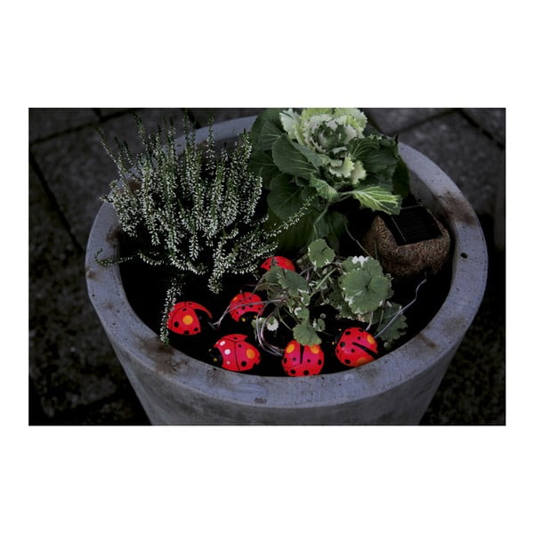 Zahradní světlo Solar Energy 6 Light Lady Bugs-image-2