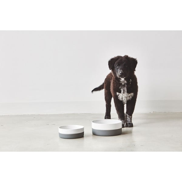 Порцеланова купа за куче ø 21,5 cm Coppa Slate M/L – MiaCara-image-1