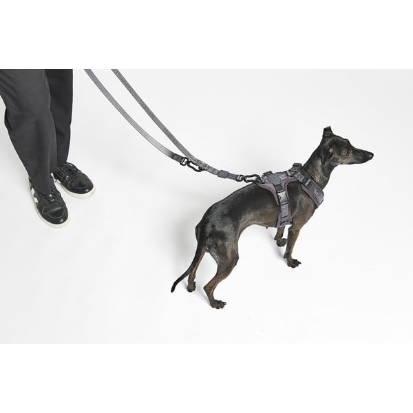 Бежова каишка с превключвател с дължина 200 cm Modena Greige 20 mm – MiaCara-image-1