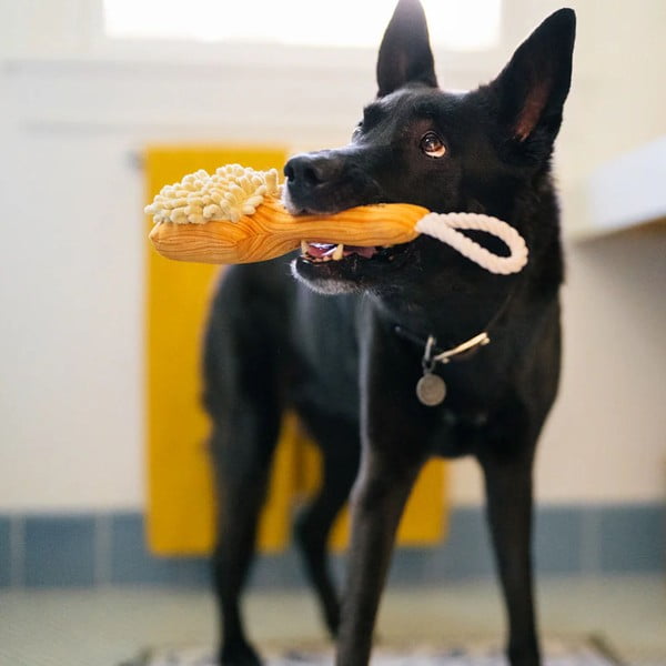 Играчка за куче Brush – P.L.A.Y.-image-1