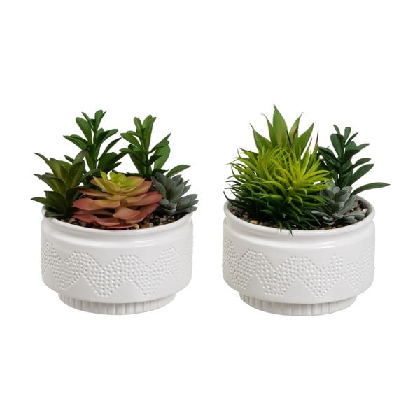 Изкуствени растения в комплект от 2 бр. (височина 19 cm) Cactus – Casa Selección