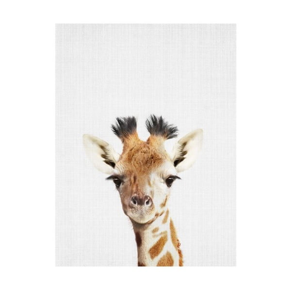 Plakát Blue-Shaker Baby Animals Giraffe, 30 x 40 cm