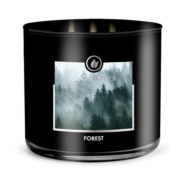 Мъжка ароматна свещ в кутия Forest, 35 часа горене Men's Collection - Goose Creek