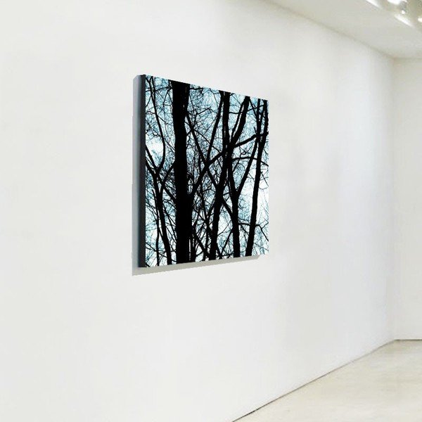 Obraz Old Trees 2-image-1