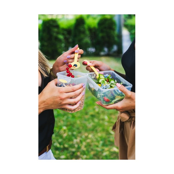 Зелена кутия за обяд и закуска с прибори за хранене, , 650ml+230m Push&Push - Vialli Design-image-3