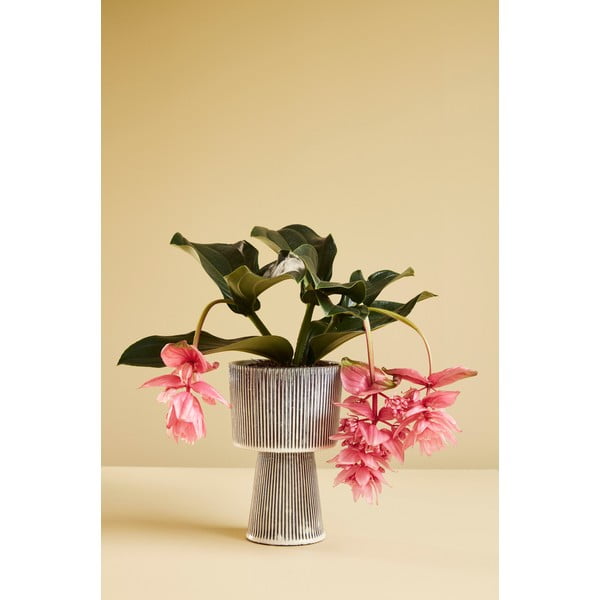 Комплект от 2 черни и бежови керамични саксии - Hübsch-image-4