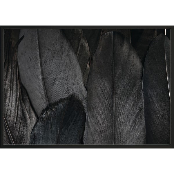 Плакат черен, 70 x 50 cm Feathers - DecoKing