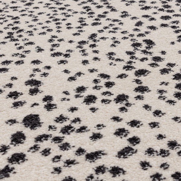 Черно-бял килим 160x230 cm Muse - Asiatic Carpets-image-2