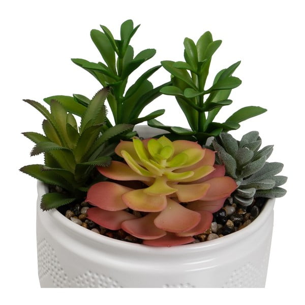 Изкуствени растения в комплект от 2 бр. (височина 19 cm) Cactus – Casa Selección-image-3