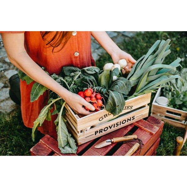 Комплект градински инструменти, изработени от ясенова дървесина Equal - Esschert Design-image-2