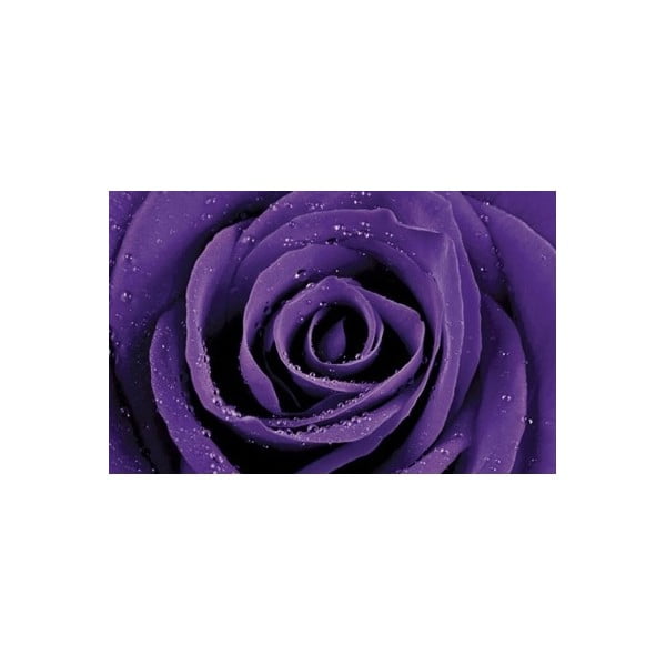 Фотомонументална изложба Виолетова роза, 51x81 cm - Postershop