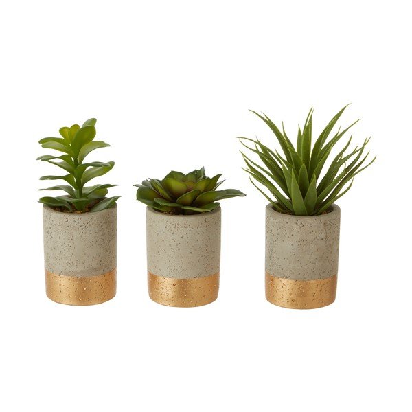 Комплект от 3 сукулента в керамична саксия Fiori - Premier Housewares-image-1