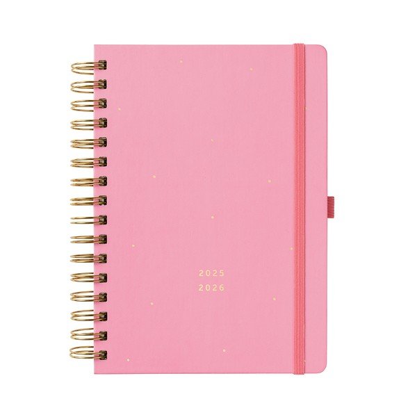 Дневник 304 стр. Pink – Busy B-image-1