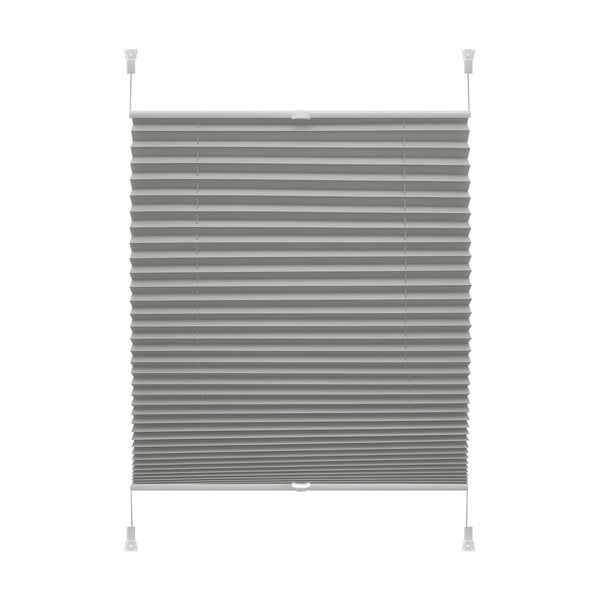 Антрацитна ролетна щора 80x150 cm Plisé Verona Termo – Gardinia