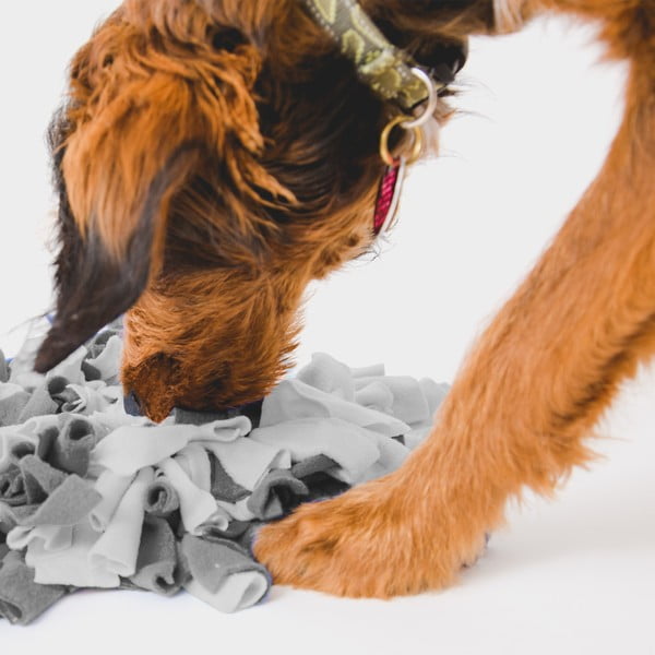 Подожка за обоняние – Love Story-image-1