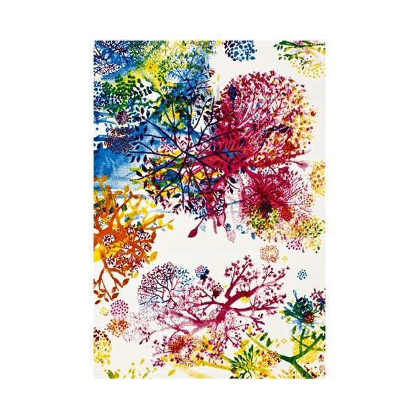 Koberec Universal Tikey Anemone, 120 x 170 cm