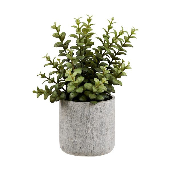 Изкуствено цвете (височина 33,5 cm) Succulent – House Nordic