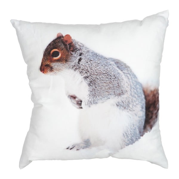 Polštář Squirrel White, 45x45 cm