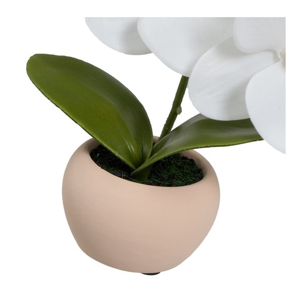 Изкуствени растения в комплект от 3 бр. (височина 15 cm) Orchid – Casa Selección-image-4