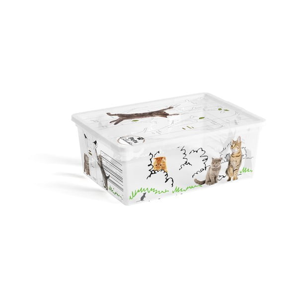 Бяла пластмасова кутия за съхранение с капак 37x26x15 cm C Box Style – KIS