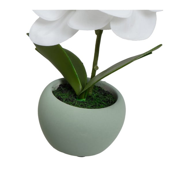 Изкуствени растения в комплект от 3 бр. (височина 15 cm) Orchid – Casa Selección-image-3