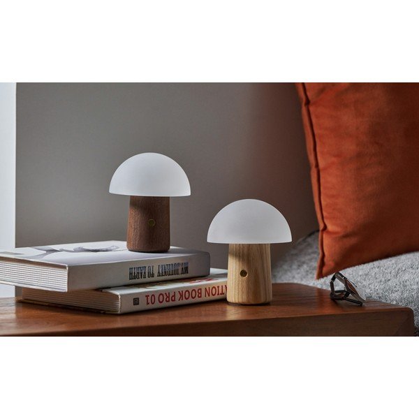 Настолна лампа с възможност за затъмняване в естествен цвят и стъклен абажур (височина 13 см) Alice - Gingko-image-3