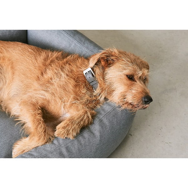 Кафяво легло за куче 55x70 cm Mare Kelp S – MiaCara-image-3