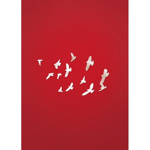 Zrcadlo Migrating Birds
