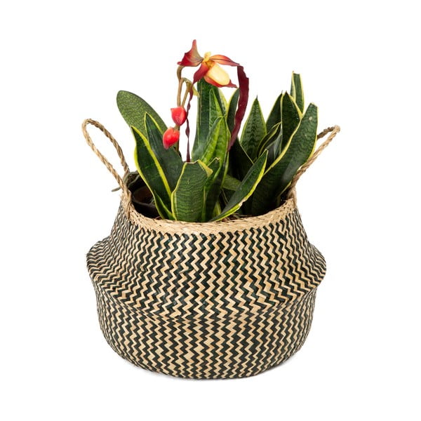 Кошница за съхранение от морска трева , ⌀ 35 cm Zic Zac - Compactor-image-1