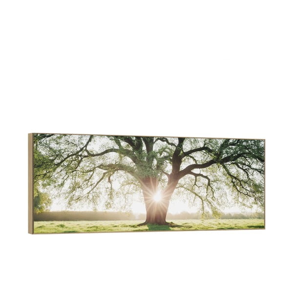 Картина 150x60 cm Tree in the Sun – knor-image-2