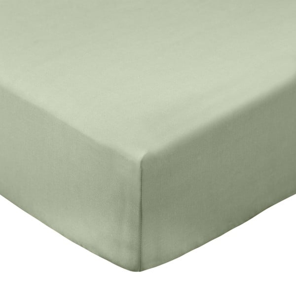 Зелен еластичен чаршаф от памук перкал 90x190 cm Cotton Percale – Bianca
