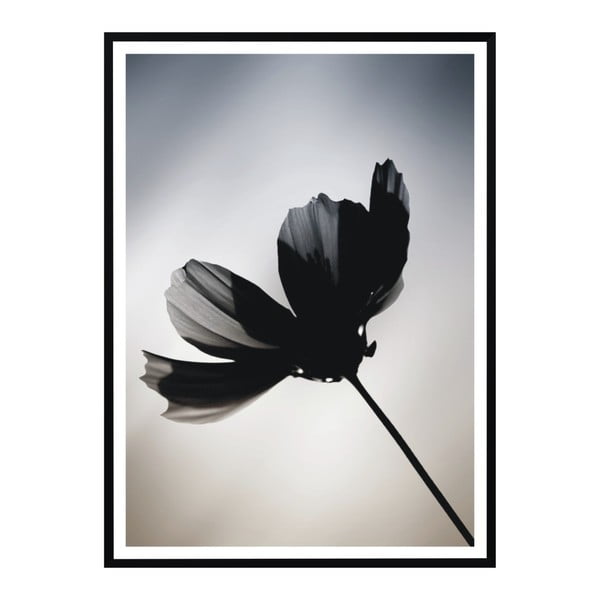 Plakát Nord & Co Flower, 21 x 29 cm