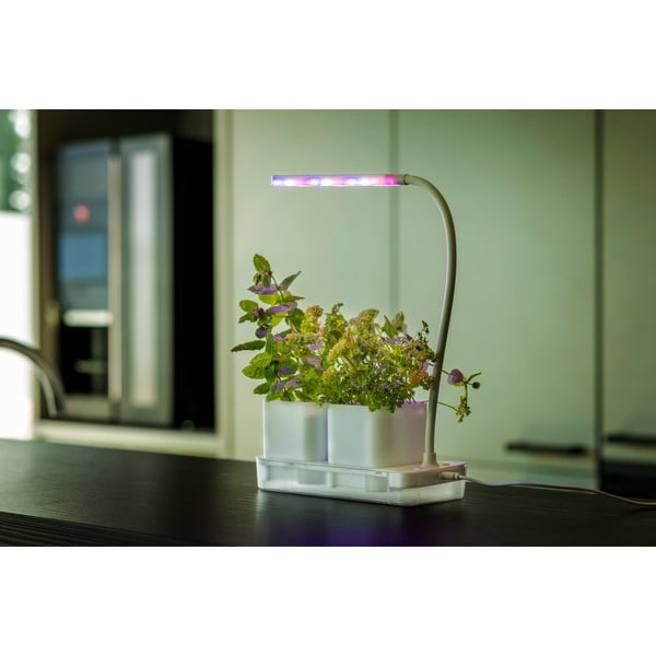 Метален разсадник за растения Lamp – Esschert Design-image-1