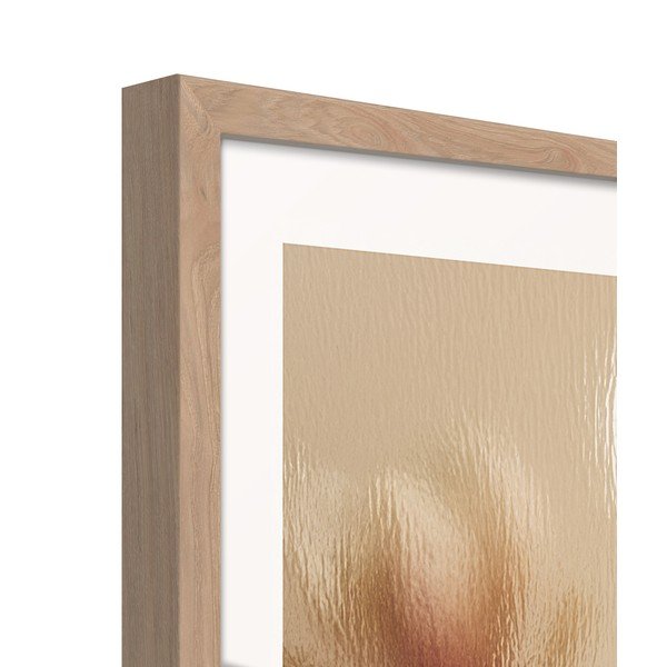 Печатна картина с включена рамка 50x70 cm Soft Magnolia – Styler-image-4