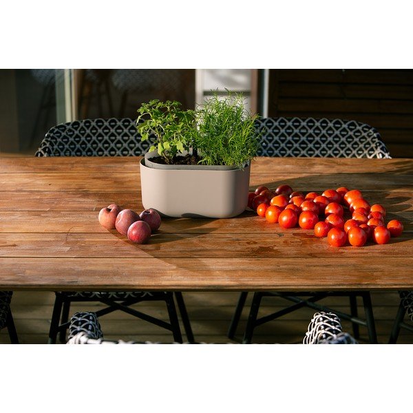 Бежова самонапоителна саксия Tolita - Plastia-image-2