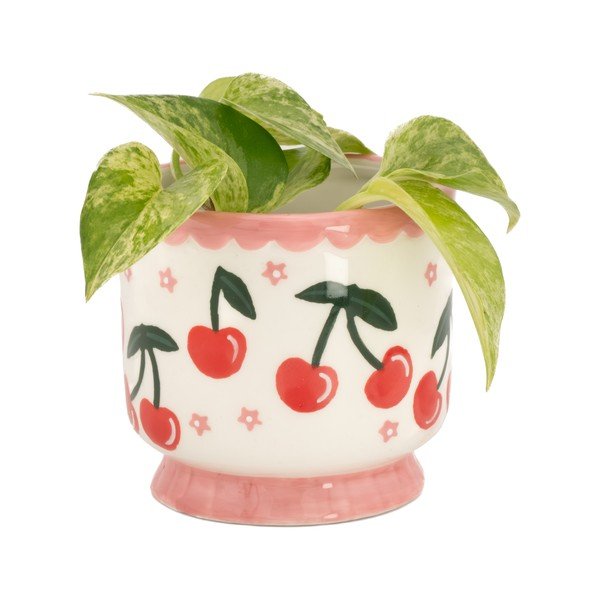 Керамично покритие за кашпа ø 7,5 cm Fruit – Sass & Belle-image-1