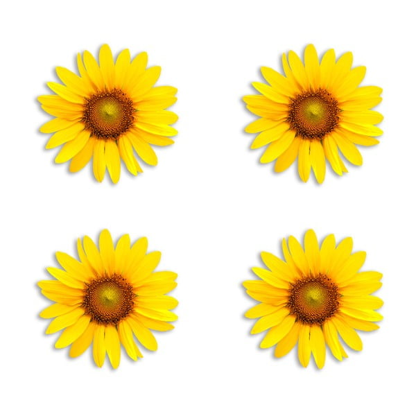 Комплект от 4 декоративни подложки от юта Sunflower - Madre Selva